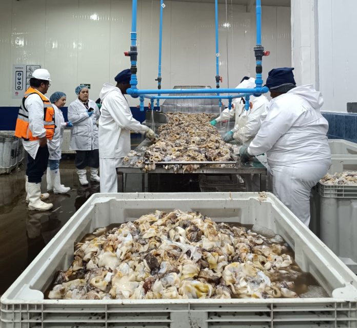 Exportaciones de la Región de Coquimbo crecen un 49,9% entre enero y octubre impulsadas por sectores agropecuario y pesca