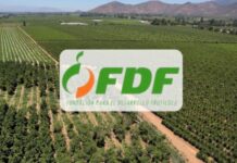 FDF apunta a la sustentabilidad con nuevo Programa de Difusión Tecnológica (PDT) en la Región de O’Higgins