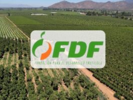 FDF apunta a la sustentabilidad con nuevo Programa de Difusión Tecnológica (PDT) en la Región de O’Higgins