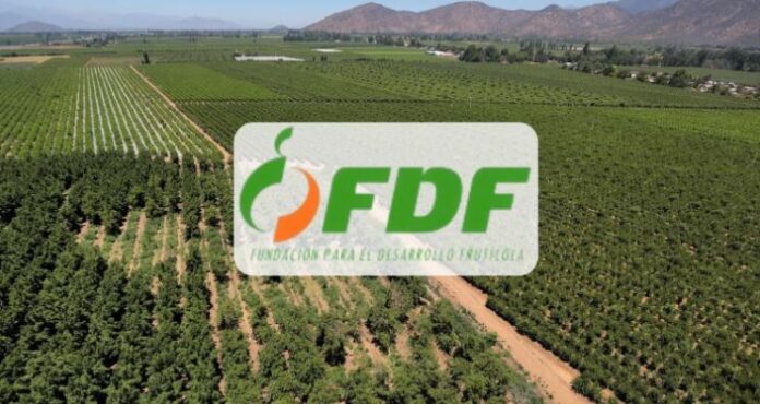 FDF apunta a la sustentabilidad con nuevo Programa de Difusión Tecnológica (PDT) en la Región de O’Higgins FDF apunta a la sustentabilidad con nuevo Programa de Difusión Tecnológica (PDT) en la Región de O’Higgins