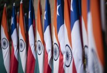 India autoriza envíos piloto de fruta chilena bajo tratamiento de frío en tránsito