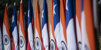 India autoriza envíos piloto de fruta chilena bajo tratamiento de frío en tránsito