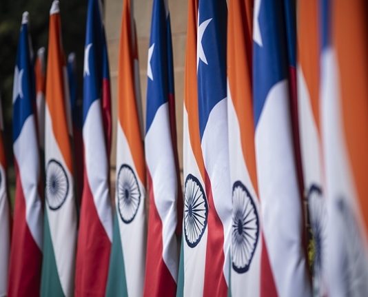 India autoriza envíos piloto de fruta chilena bajo tratamiento de frío en tránsito