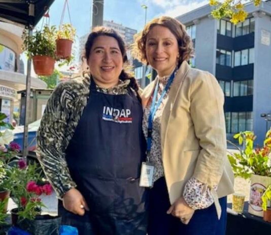 Feria de las Flores cautivó una vez más al público penquista