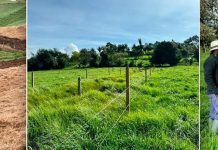 Finca Verdum, lechería especializada que se volvió modelo de innovación con sus siembras