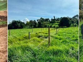 Finca Verdum, lechería especializada que se volvió modelo de innovación con sus siembras