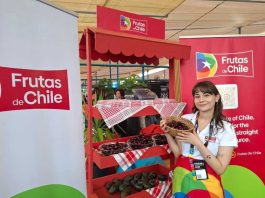 Frutas de Chile en ETM Day 2025: ProChile conecta a Chile con el ecosistema tecnológico nacional e internacional