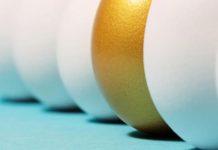 Se estrena la primera herramienta estadounidense para informar sobre la sostenibilidad de los huevos