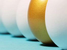 Se estrena la primera herramienta estadounidense para informar sobre la sostenibilidad de los huevos