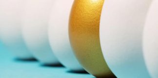 Se estrena la primera herramienta estadounidense para informar sobre la sostenibilidad de los huevos