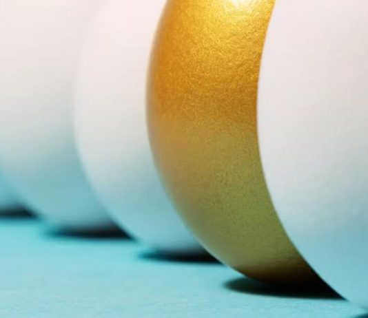 Se estrena la primera herramienta estadounidense para informar sobre la sostenibilidad de los huevos