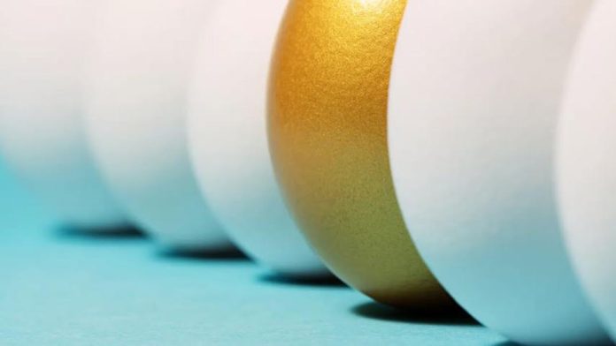 Se estrena la primera herramienta estadounidense para informar sobre la sostenibilidad de los huevos