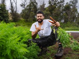 INDAP inaugurará un Servicio de Asesoría Técnica en Rapa Nui para potenciar la producción agroecológica