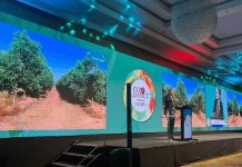 Ignacio Fernández (ProChile): “Chile se consolida como uno de los principales proveedores de nueces del mundo”