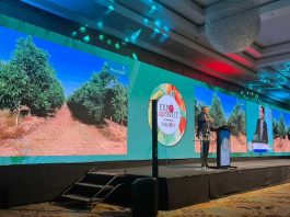 Ignacio Fernández (ProChile): “Chile se consolida como uno de los principales proveedores de nueces del mundo”