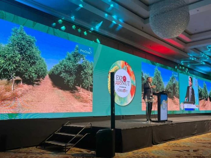 Ignacio Fernández (ProChile): “Chile se consolida como uno de los principales proveedores de nueces del mundo”