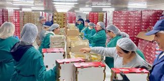 Inauguran moderno Packing de Cerezas en San Nicolás que fortalecerá la vocación agroexportadora de Ñuble