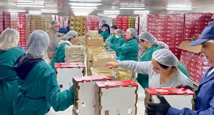 Inauguran moderno Packing de Cerezas en San Nicolás que fortalecerá la vocación agroexportadora de Ñuble Inauguran moderno Packing de Cerezas en San Nicolás que fortalecerá la vocación agroexportadora de Ñuble