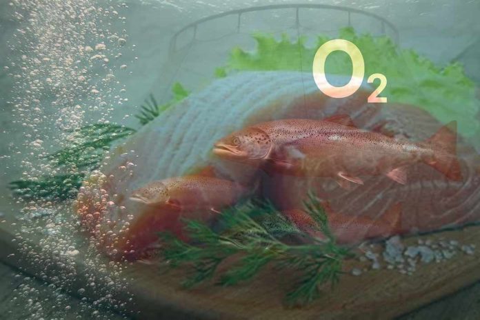 Indura lleva la innovación con CO₂ al corazón de la agricultura Indura lleva la innovación con CO₂ al corazón de la agricultura