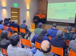 Innovación desde Aysén: Proyecto transforma la gestión forestal utilizando tecnología LiDAR y datos inteligentes