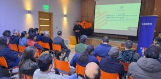 Innovación desde Aysén: Proyecto transforma la gestión forestal utilizando tecnología LiDAR y datos inteligentes