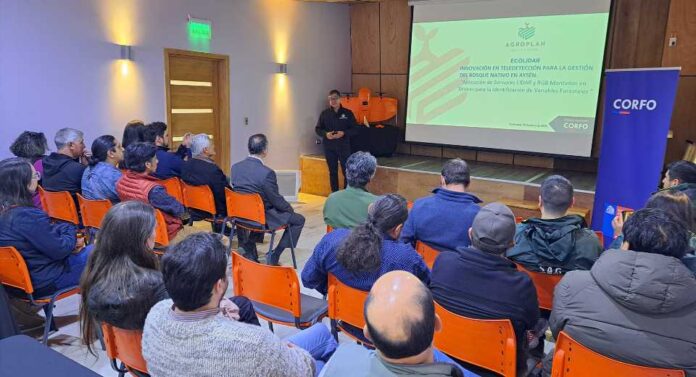 Innovación desde Aysén: Proyecto transforma la gestión forestal utilizando tecnología LiDAR y datos inteligentes