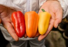 Innovaciones Biotecnológicas potencian exportaciones y la relación con los Consumidores