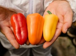 Innovaciones Biotecnológicas potencian exportaciones y la relación con los Consumidores