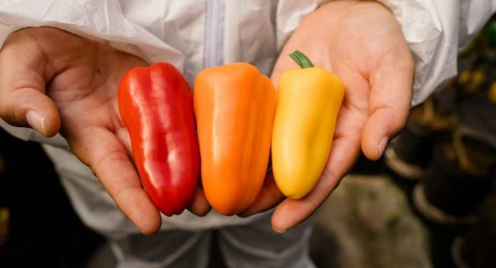 Innovaciones Biotecnológicas potencian exportaciones y la relación con los Consumidores