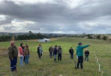 Investigadores de INIA dan a conocer prácticas agroecológicas para controlar el gusano blanco en Chiloé Investigadores de INIA dan a conocer prácticas agroecológicas para controlar el gusano blanco en Chiloé