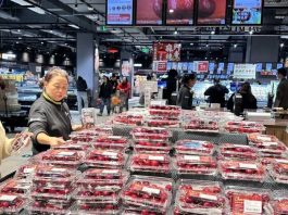 La «dulzura invernal» vuela por medio mundo La «dulzura invernal» vuela por medio mundo