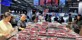 La «dulzura invernal» vuela por medio mundo