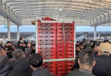 China | Las primeras cerezas Chilenas de la temporada llegan por mar a Shanghái