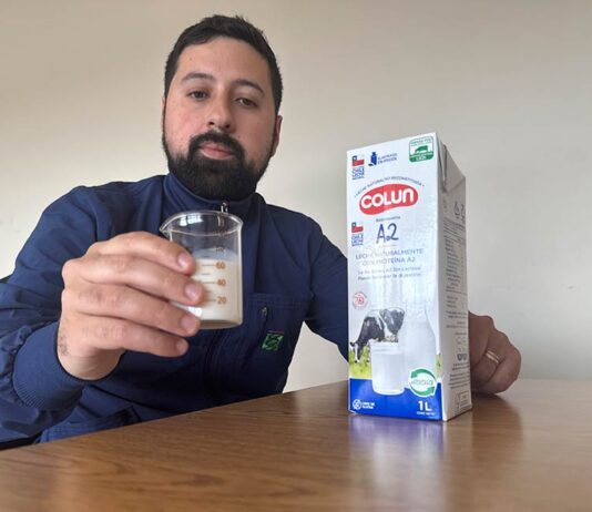 Leche A2 despierta expectativas entre consumidores según estudio presentado por INIA en el XXV Congreso de Nutrición