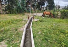 Pequeños agricultores de Canela mejoran el riego de sus cultivos con nuevas obras de revestimiento bonificada por la Ley de Riego
