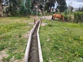 Pequeños agricultores de Canela mejoran el riego de sus cultivos con nuevas obras de revestimiento bonificada por la Ley de Riego Pequeños agricultores de Canela mejoran el riego de sus cultivos con nuevas obras de revestimiento bonificada por la Ley de Riego