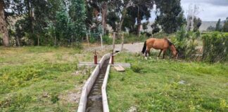 Pequeños agricultores de Canela mejoran el riego de sus cultivos con nuevas obras de revestimiento bonificada por la Ley de Riego Pequeños agricultores de Canela mejoran el riego de sus cultivos con nuevas obras de revestimiento bonificada por la Ley de Riego