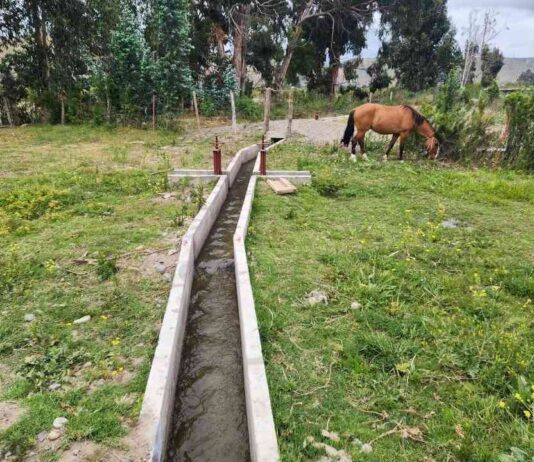 Pequeños agricultores de Canela mejoran el riego de sus cultivos con nuevas obras de revestimiento bonificada por la Ley de Riego Pequeños agricultores de Canela mejoran el riego de sus cultivos con nuevas obras de revestimiento bonificada por la Ley de Riego