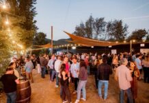 Maturana Sunset Experience un atardecer con identidad, vino y comunidad en San Fernando