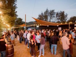 Maturana Sunset Experience un atardecer con identidad, vino y comunidad en San Fernando