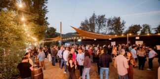 Maturana Sunset Experience un atardecer con identidad, vino y comunidad en San Fernando