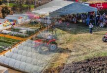 México | Expo Agroalimentaria Guanajuato 2025