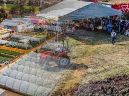 México | Expo Agroalimentaria Guanajuato 2025 México | Expo Agroalimentaria Guanajuato 2025