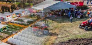 México | Expo Agroalimentaria Guanajuato 2025