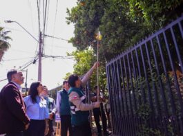 Ministerio de Agricultura y SAG lanzan campaña ciudadana “Por si las Moscas” para reforzar control y prevención de la mosca de la fruta