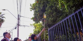 Ministerio de Agricultura y SAG lanzan campaña ciudadana “Por si las Moscas” para reforzar control y prevención de la mosca de la fruta