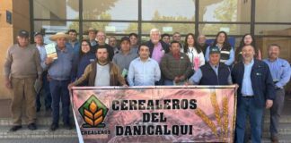 Ministerio de agricultura refuerza articulación Público-Privada para fortalecer la cadena triguera en Ñuble Ministerio de agricultura refuerza articulación Público-Privada para fortalecer la cadena triguera en Ñuble