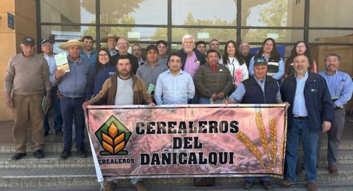 Ministerio de agricultura refuerza articulación Público-Privada para fortalecer la cadena triguera en Ñuble
