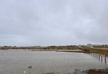 Ministerio del Medio Ambiente extiende plazo de Consulta Pública para definir sitios prioritarios para la conservación Ministerio del Medio Ambiente extiende plazo de Consulta Pública para definir sitios prioritarios para la conservación