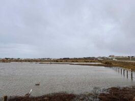 Ministerio del Medio Ambiente extiende plazo de Consulta Pública para definir sitios prioritarios para la conservación